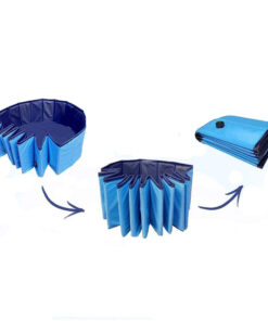 Alternative view of Kutyamedence