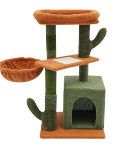 Macska mászóka, kaktusz